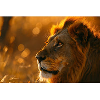 Thumbnail for Canvas of a Lion