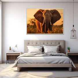 African elephant at golden hour with ears spread on the savannah