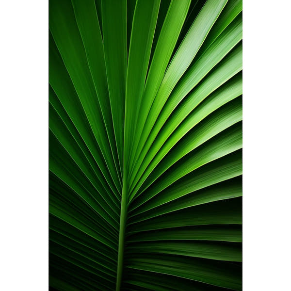 Tropical Palm Leaf canvas