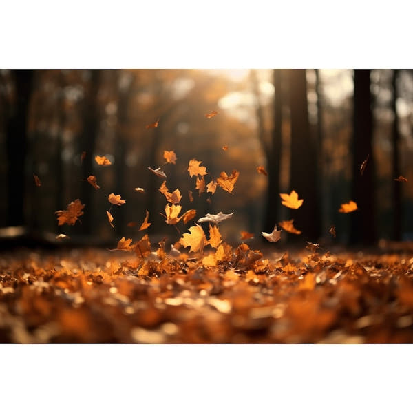 Realistic Leaf Canvas