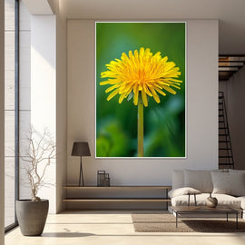 Macro of a single yellow dandelion against a deep green background