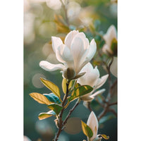 Thumbnail for Magnolia Flower Canvas