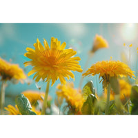 Thumbnail for Dandelion Painting Wall Art