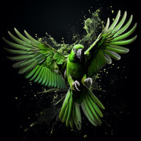 Thumbnail for Black Background Parrot Canvas