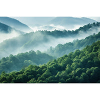 Thumbnail for Forest Fog Canvas
