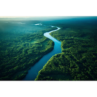 Thumbnail for Forest and River Canvas