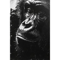 Thumbnail for Black and White Monkey Painting
