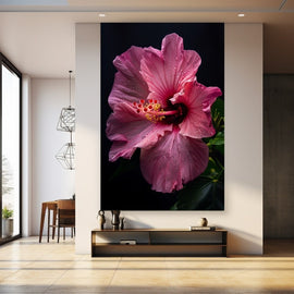 Pink hibiscus flower in full bloom against a black background