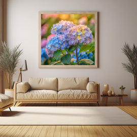 Flowering hydrangea bush in pink, lilac and blue pastels