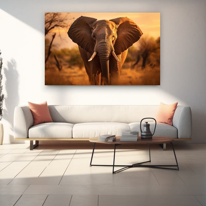 Photographic elephant facing the camera at golden-hour sunset in a savannah