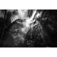 Thumbnail for Dark Jungle Canvas