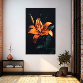 Orange lily on a black background