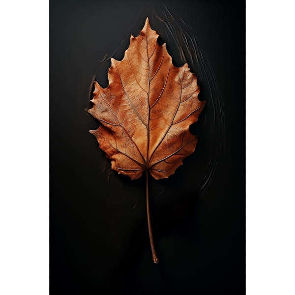Leaf Canvas on Black Canvas