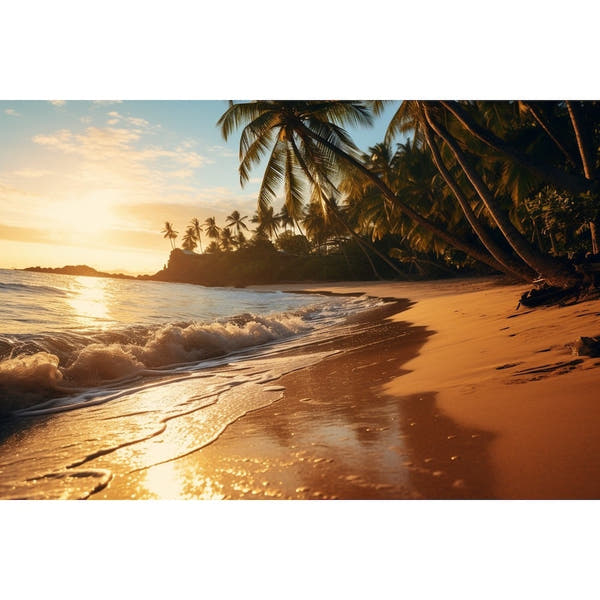 Palm Tree Beach Sunset Canvas
