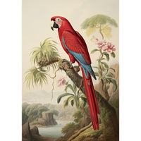 Thumbnail for Colorful Parrot Canvas