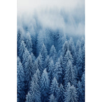 Thumbnail for Nordic Forest Painting