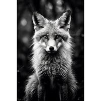Thumbnail for Black and White Fox Canvas