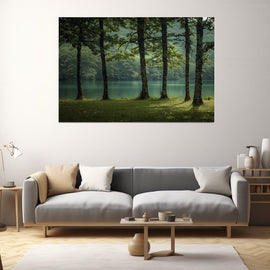 Forest lake behind a row of tall trees on a grassy bank with cool jade water