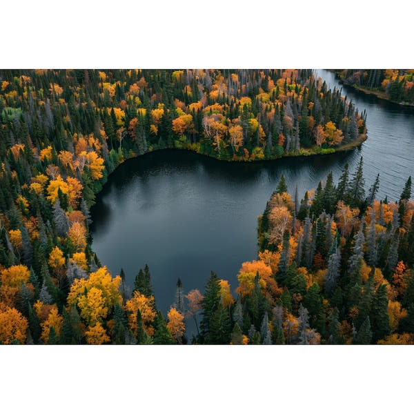 Beautiful Landscape Canvas on Canvas