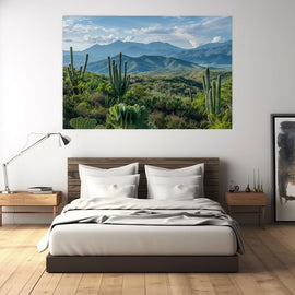 Mexican highland valley with tall cacti and blue mountain ridges