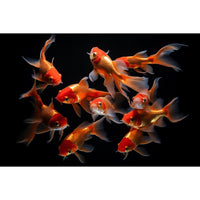 Thumbnail for Goldfish Painting Canvas