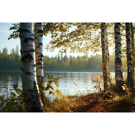 Birch Tree Picture Painting