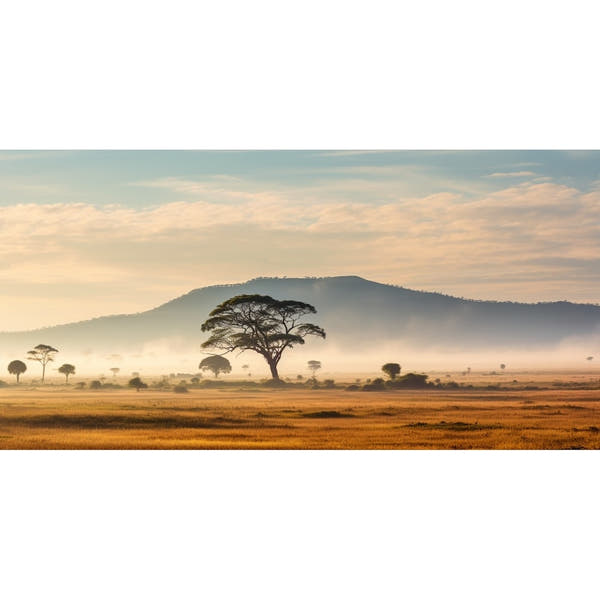 Large Savannah canvas