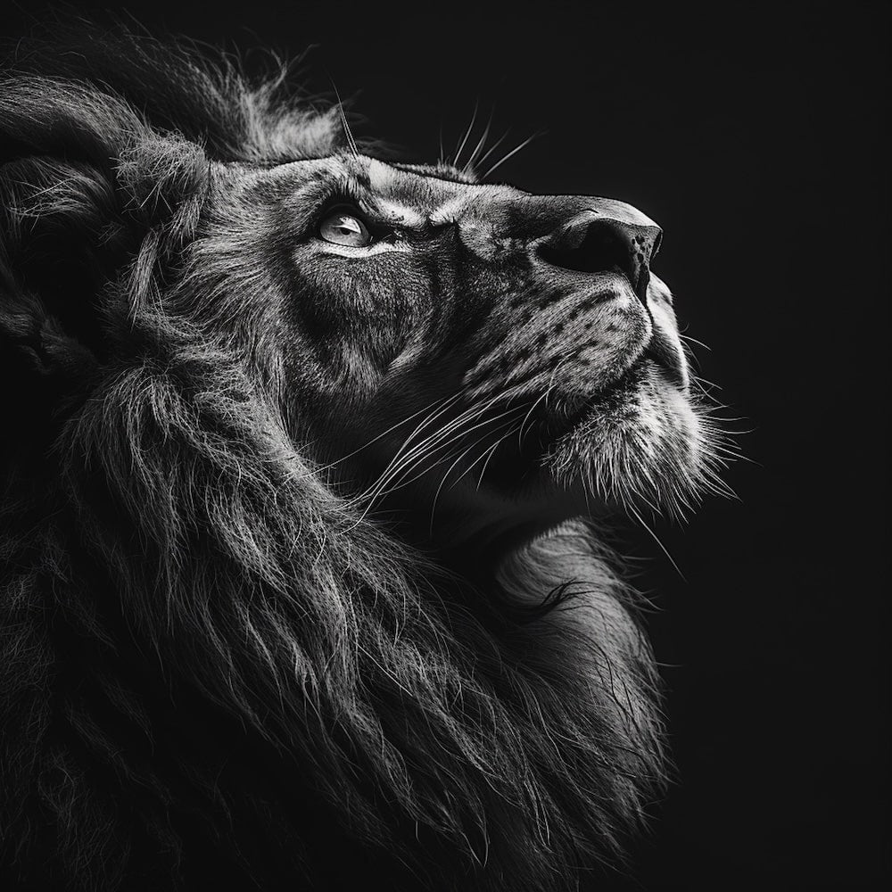 Black Lion Painting