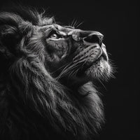 Thumbnail for Black Lion Painting