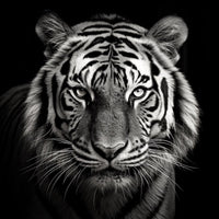 Thumbnail for Black and White Tiger Painting Wall Art