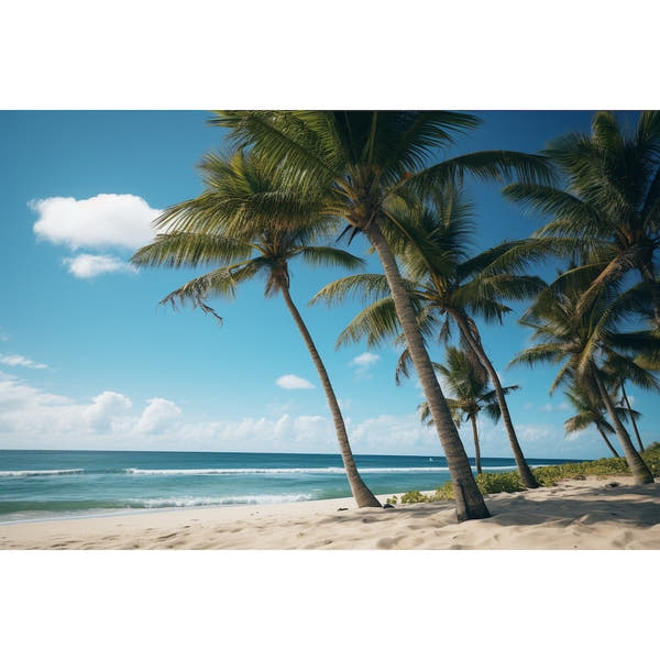 Palm Beach painting