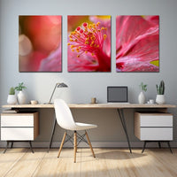 Thumbnail for 3 Piece Flower Canvas Wall Art