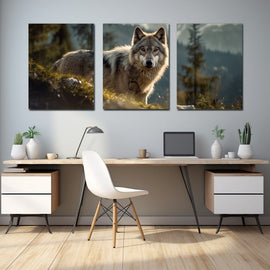 Three-panel grey timber wolf standing in misty pine mountains at dawn