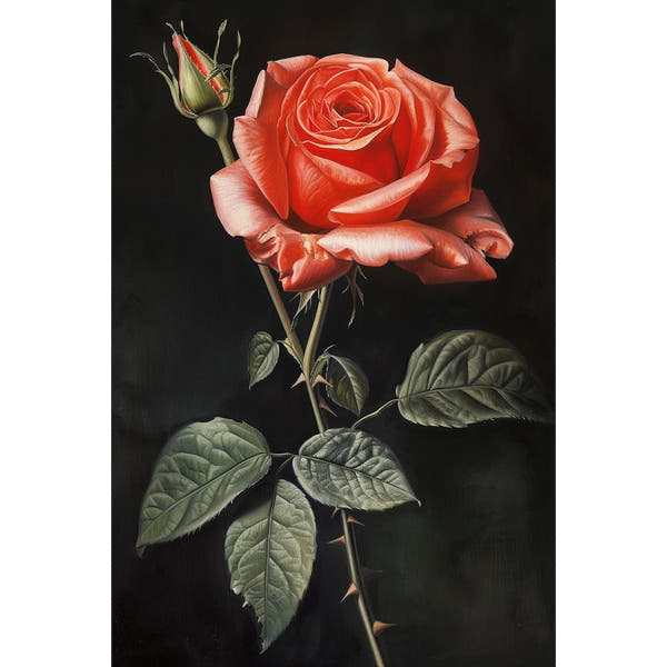 Canvas of a Rose