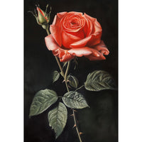 Thumbnail for Canvas of a Rose