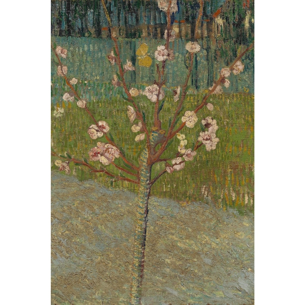 Van Gogh Almond Tree Canvas