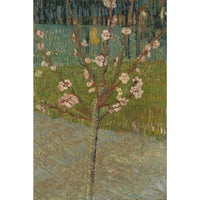 Thumbnail for Van Gogh Almond Tree Canvas