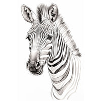 Thumbnail for Drawing Zebra Canvas