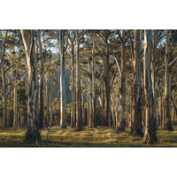 Thumbnail for Eucalyptus Tree Canvas