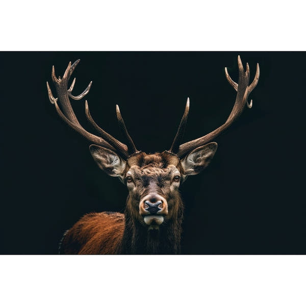 Stag Painting Canvas