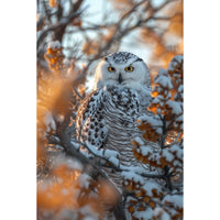 Thumbnail for White Owl Canvas