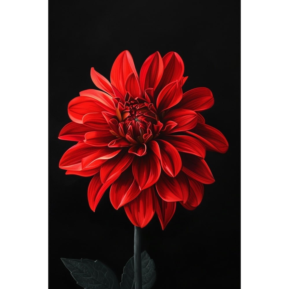 Red and Black Flower Canvas
