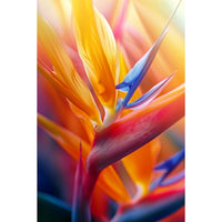 Thumbnail for Tropical Artwork on Painting