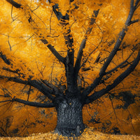 Thumbnail for Asian Tree Canvas