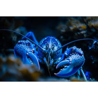 Thumbnail for Canvas of a Lobster