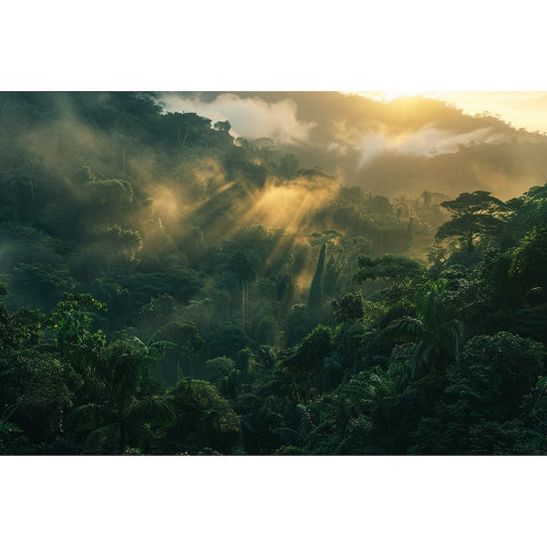 Jungle Scenery Canvas