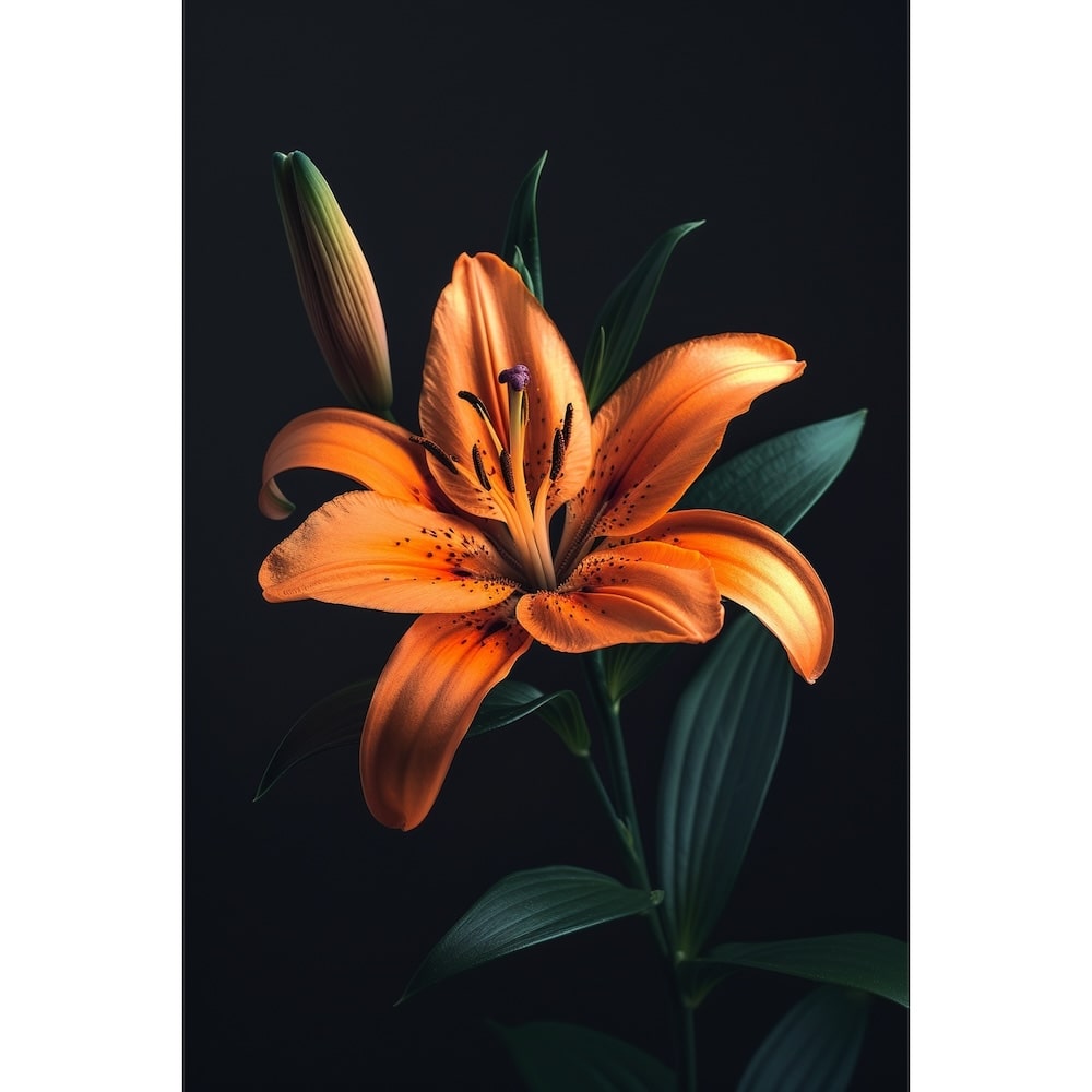 Lilly Painting