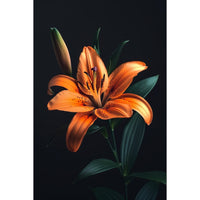 Thumbnail for Lilly Painting