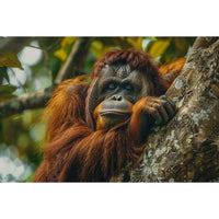Thumbnail for Orangutan Painting
