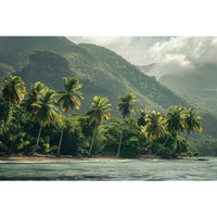 Thumbnail for Caribbean Landscape Canvas